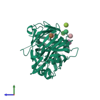 PDB entry 1fmu coloured by chain, side view.