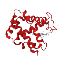 The deposited structure of PDB entry 1fn3 contains 2 copies of CATH domain 1.10.490.10 (Globin-like) in Hemoglobin subunit alpha. Showing 1 copy in chain A.