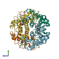 PDB entry 1fn3 coloured by chain, side view.