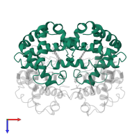 Hemoglobin subunit alpha in PDB entry 1fn3, assembly 1, top view.