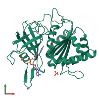 PDB entry 1fnb coloured by chain, front view.