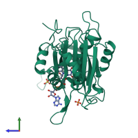 PDB entry 1fnb coloured by chain, side view.