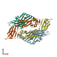 PDB entry 1fne coloured by chain, front view.