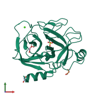 PDB entry 1fni coloured by chain, front view.