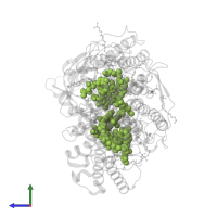 BACTERIOCHLOROPHYLL A in PDB entry 1fnq, assembly 1, side view.
