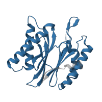 The deposited structure of PDB entry 1fnt contains 2 copies of Pfam domain PF00227 (Proteasome subunit) in Proteasome subunit beta type-4. Showing 1 copy in chain K.