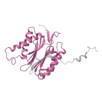 The deposited structure of PDB entry 1fnt contains 2 copies of Pfam domain PF00227 (Proteasome subunit) in Proteasome subunit beta type-7. Showing 1 copy in chain N.