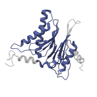 The deposited structure of PDB entry 1fnt contains 2 copies of Pfam domain PF00227 (Proteasome subunit) in Proteasome subunit alpha type-3. Showing 1 copy in chain Q.