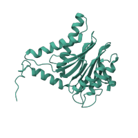 The deposited structure of PDB entry 1fnt contains 2 copies of CATH domain 3.60.20.10 (Glutamine Phosphoribosylpyrophosphate, subunit 1, domain 1) in Proteasome subunit alpha type-6. Showing 1 copy in chain F.