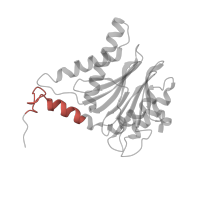 The deposited structure of PDB entry 1fnt contains 2 copies of Pfam domain PF10584 (Proteasome subunit A N-terminal signature) in Proteasome subunit alpha type-6. Showing 1 copy in chain T.
