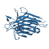 The deposited structure of PDB entry 1fny contains 1 copy of Pfam domain PF00139 (Legume lectin domain) in Bark agglutinin I polypeptide A. Showing 1 copy in chain A.