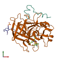 PDB entry 1fpc coloured by chain, front view.