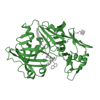 The deposited structure of PDB entry 1fq5 contains 1 copy of Pfam domain PF00026 (Eukaryotic aspartyl protease) in Saccharopepsin. Showing 1 copy in chain A.