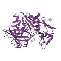 The deposited structure of PDB entry 1fq5 contains 1 copy of SCOP domain 50646 (Pepsin-like) in Saccharopepsin. Showing 1 copy in chain A.