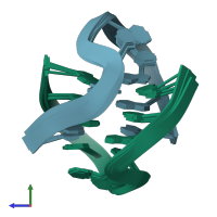 PDB entry 1fqp coloured by chain, ensemble of 5 models, side view.