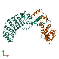 Hetero dimeric assembly 8 of PDB entry 1fqv coloured by chemically distinct molecules, front view.