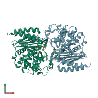 PDB entry 1fr6 coloured by chain, front view.