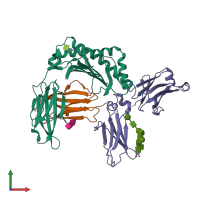 PDB entry 1frt coloured by chain, front view.