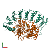 PDB entry 1ft2 coloured by chain, front view.