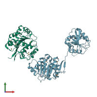 PDB entry 1fuu coloured by chain, front view.