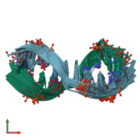 PDB entry 1fv7 coloured by chain, ensemble of 11 models, front view.
