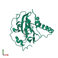 Mitochondrial peptide methionine sulfoxide reductase in PDB entry 1fvg, assembly 1, front view.