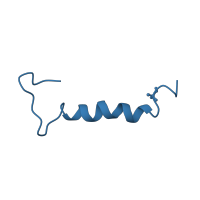 The deposited structure of PDB entry 1fvn contains 1 copy of SCOP domain 58285 (Peptide hormones) in Neuropeptide Y. Showing 1 copy in chain A.