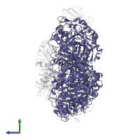 Urease subunit alpha in PDB entry 1fwj, assembly 1, side view.