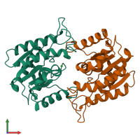 PDB entry 1fxw coloured by chain, front view.