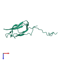Dihydrolipoyllysine-residue acetyltransferase component of pyruvate dehydrogenase complex, mitochondrial in PDB entry 1fyc, assembly 1, top view.