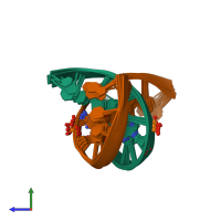 PDB entry 1fyi coloured by chain, ensemble of 9 models, side view.