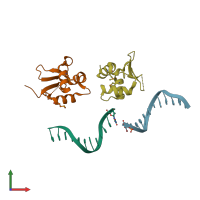 PDB entry 1fyl coloured by chain, front view.