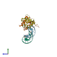 PDB entry 1fyl coloured by chain, side view.