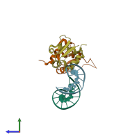 PDB entry 1fym coloured by chain, side view.