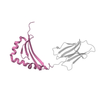 The deposited structure of PDB entry 1fyt contains 1 copy of CATH domain 3.10.320.10 (Class II Histocompatibility Antigen, M Beta Chain; Chain B, domain 1) in HLA class II histocompatibility antigen, DRB1 beta chain. Showing 1 copy in chain B.