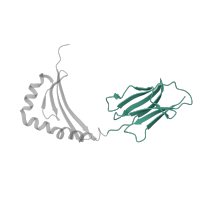 The deposited structure of PDB entry 1fyt contains 1 copy of SCOP domain 48942 (C1 set domains (antibody constant domain-like)) in HLA class II histocompatibility antigen, DRB1 beta chain. Showing 1 copy in chain B.