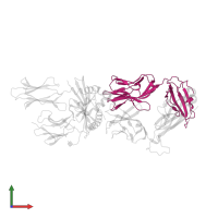 T cell receptor alpha chain constant in PDB entry 1fyt, assembly 1, front view.