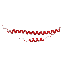 The deposited structure of PDB entry 1fza contains 2 copies of CATH domain 1.20.5.50 (Single alpha-helices involved in coiled-coils or other helix-helix interfaces) in Fibrinogen alpha chain. Showing 1 copy in chain A.