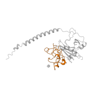 The deposited structure of PDB entry 1fza contains 2 copies of CATH domain 4.10.530.10 (Gamma-fibrinogen Carboxyl Terminal Fragment; domain 2) in Fibrinogen beta chain. Showing 1 copy in chain B.