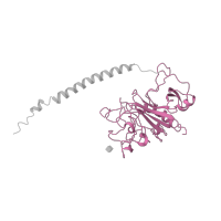 The deposited structure of PDB entry 1fza contains 2 copies of SCOP domain 56497 (Fibrinogen C-terminal domain-like) in Fibrinogen beta chain. Showing 1 copy in chain B.