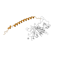 The deposited structure of PDB entry 1fza contains 2 copies of SCOP domain 58011 (Fibrinogen coiled-coil and central regions) in Fibrinogen beta chain. Showing 1 copy in chain B.