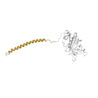 The deposited structure of PDB entry 1fza contains 2 copies of SCOP domain 58011 (Fibrinogen coiled-coil and central regions) in Fibrinogen gamma chain. Showing 1 copy in chain C.