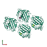 Homo tetrameric assembly 2 of PDB entry 1fzd coloured by chemically distinct molecules, front view.