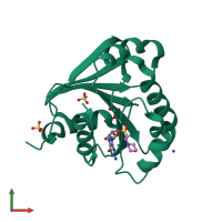 PDB entry 1fzq coloured by chain, front view.