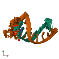 PDB entry 1fzs coloured by chain, ensemble of 8 models, front view.