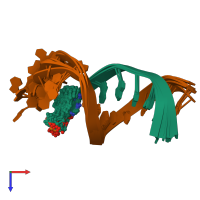 PDB entry 1fzs coloured by chain, ensemble of 8 models, top view.