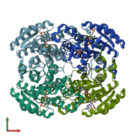 PDB entry 1g0o coloured by chain, front view.