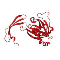 The deposited structure of PDB entry 1g0s contains 2 copies of CATH domain 3.90.79.10 (Nucleoside Triphosphate Pyrophosphohydrolase) in ADP-ribose pyrophosphatase. Showing 1 copy in chain B.
