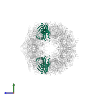 Proteasome subunit beta type-3 in PDB entry 1g0u, assembly 1, side view.