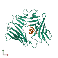 PDB entry 1g0y coloured by chain, front view.